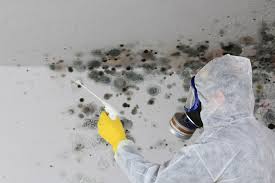 Best Mold Removal for HVAC Installations  in Riviera Beach, FL